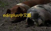 editplus中文版 5.3.0.2542 中文破解版